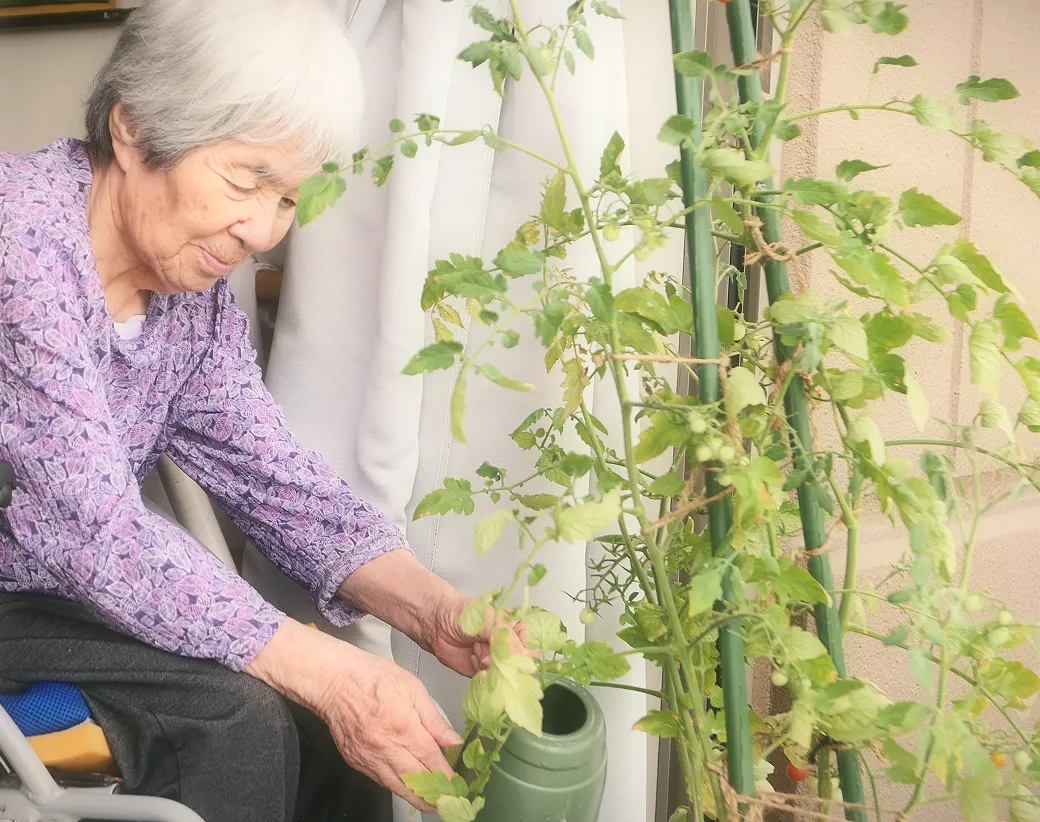 植物の世話を楽しむ入居者さま